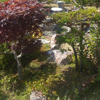 Sukimashikanai - The Garden of the Past