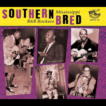 Various Artists - Southern Bred Mississippi R&b Rockers Vol. 5