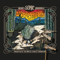 New Riders of The Purple Sage - Bear's Sonic Journals: Dawn of the New Riders of the Purple Sage