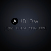 Audiow - I Can't Believe You're Gone