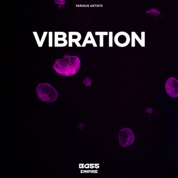 Various Artists - Vibration