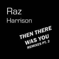 Raz Harrison / - Then There Was You (Remixes Pt. 2)