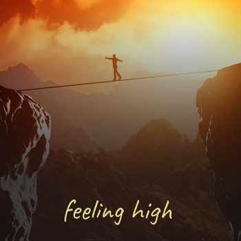 Various Artists - Feeling High
