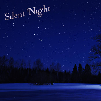 Matt Johnson - Silent Night