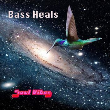 Soul Vibes - Bass Heals