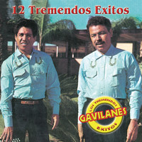 Los Tremendos Gavilanes - 12 Tremendos Exitos