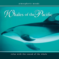 Whales - Whales of the Pacific