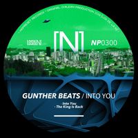 Gunther Beats - Intro You