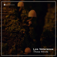 Los Veteranos - Three Minds