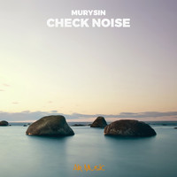 Murysin - Check Noise