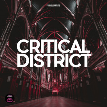 Various Artists - Critical District