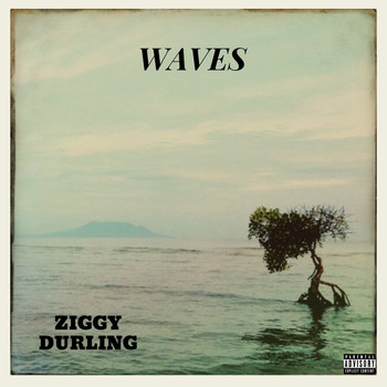 Ziggy Durling / - Waves