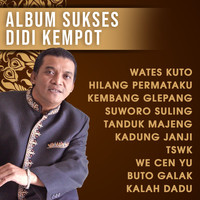 Didi Kempot - Sukses