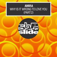 Amira - Why Is It Wrong To Love You (Pt. 2)