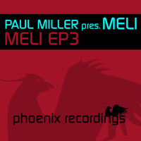 Paul Miller Presents Meli - Meli EP 3