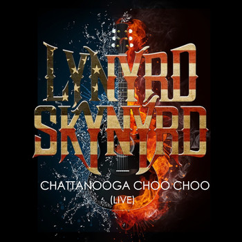 Lynyrd Skynyrd - Lynyrd Skynyrd -Chattanooga Choo Choo (Live)