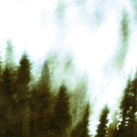 Felly - Wood v2 (Explicit)