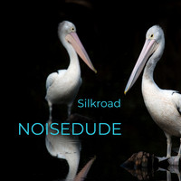 Noisedude - Silkroad