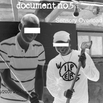 Document No. 5 - Sensory Overload
