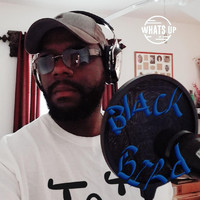 Blackbird - Now and Then (Explicit)