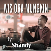 Shandy - Wis Ora Mungkin (Karaoke Version)