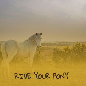 Various Artists - Ride Your Pony