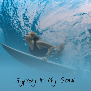 Various Artists - Gypsy in My Soul