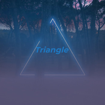 Various Artists - Triangle