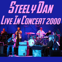 Steely Dan - Steely Dan Live in Concert 2000 (Live)