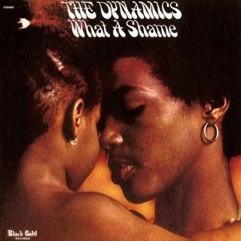 The Dynamics - What a Shame (Expanded Version)