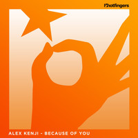 Alex Kenji - Because of You