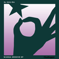 DJ Shu-ma - Wanna Groove
