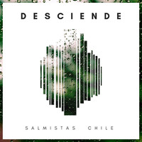 SALMISTAS CHILE - Desciende
