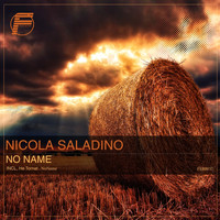 nicola saladino - No Name
