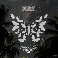 Kamil Brandt - Starlight