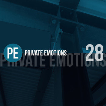 Various Artists - Private Emotions, Vol. 28
