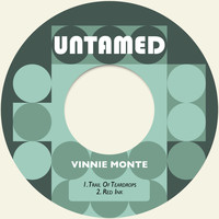 Vinnie Monte - Trail of Teardrops / Red Ink