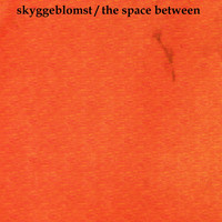 Skyggeblomst - The Space Between