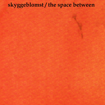Skyggeblomst - The Space Between
