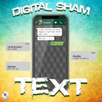 Digital Sham - Text (Explicit)