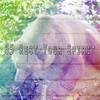 Relaxing Spa Music - 65 Rest Your Spirit