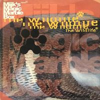 Mijk's Magic Marble Box - Spring - The Wildlife