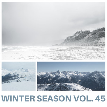 Various Artists - Winter Season Vol. 45