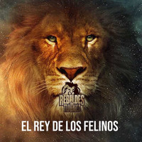 Rebeldes de Tijuana - El Rey De los Felinos