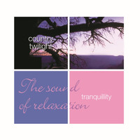 Leviathan - Tranquillity- Country Twilight