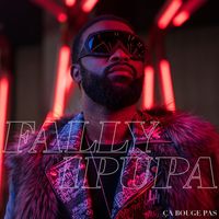 TÉLÉCHARGER FALLY IPUPA DROIT CHEMIN MP3 IPUPA TÉLÉCHARGER DROIT MP3 FALLY CHEMIN