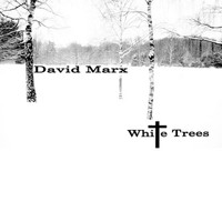 David Marx - White Trees (Live at the Oasis, Swindon)