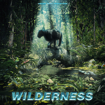 Amadea Music Productions - Wilderness