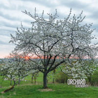 Orchard - Serendipity