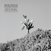 Sylvain Chauveau and Ensemble Nocturne - Down to the Bone (An Acoustic Tribute to Depeche Mode)